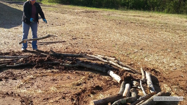 First the old logs and brush. 