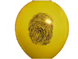 fingerprints